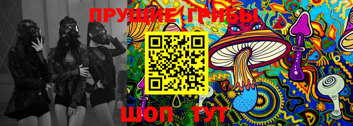 Гурьевск  наркота  Вход с VPN  Галлюциногенные грибы Psilocybine cubensis 